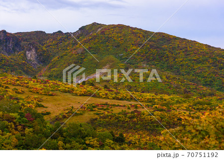 栗駒山名残ヶ原の紅葉 70751192