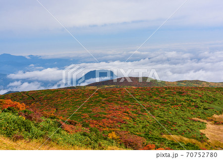 栗駒山の神の絨毯 栗駒山の神の絨毯 70752780