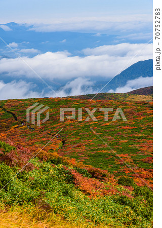 栗駒山の神の絨毯 栗駒山の神の絨毯 70752783