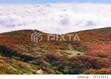 栗駒山の神の絨毯 70752815