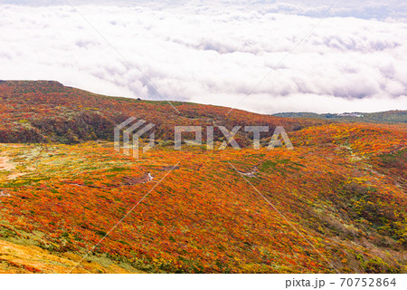 栗駒山の神の絨毯 70752864