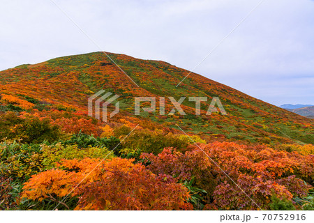 栗駒山の神の絨毯 70752916