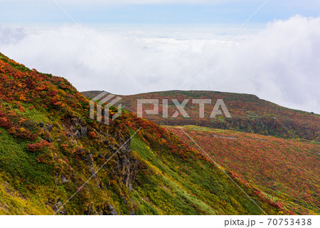 栗駒山の紅葉 70753438