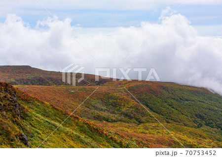 栗駒山の紅葉 70753452