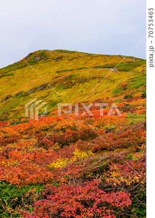 栗駒山の紅葉 栗駒山の紅葉 70753465