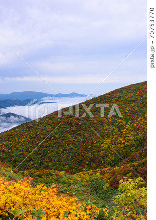 栗駒山の紅葉と雲海 栗駒山の紅葉と雲海 70753770