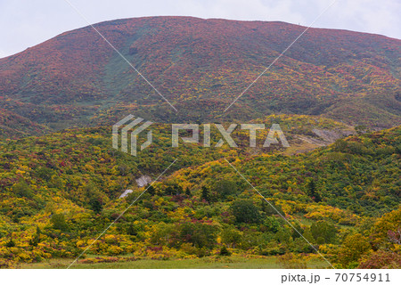 栗駒山の紅葉 70754911