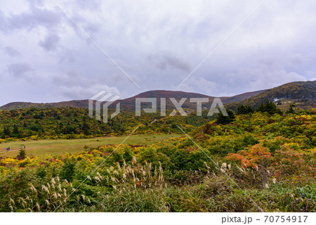 栗駒山の紅葉 栗駒山の紅葉 70754917