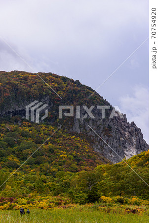栗駒山の紅葉 70754920