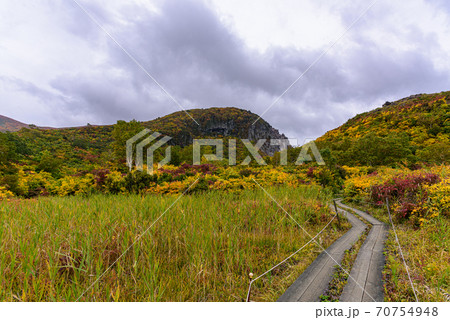 栗駒山の紅葉 70754948