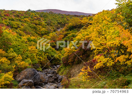 栗駒山の紅葉 栗駒山の紅葉 70754963
