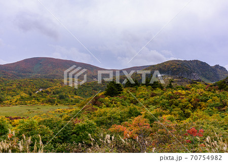 栗駒山の紅葉 70754982