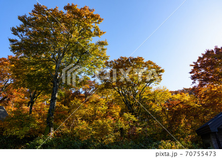 紅葉　登山 70755473