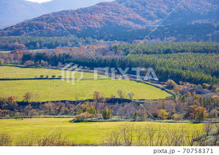 新得町を走る根室本線 新得町を走る根室本線 70758371