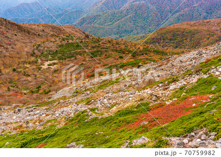 (栃木県)紅葉の那須連峰・茶臼岳 姥ヶ平 (栃木県)紅葉の那須連峰・茶臼岳 姥ヶ平 70759982