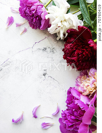 Peony flowers on a marble background 70760419