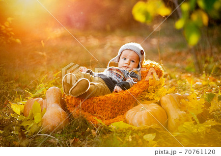Child boy lies in a basket with pumpkins in autumn leaves. Child boy lies in a basket with pumpkins in autumn leaves. 70761120