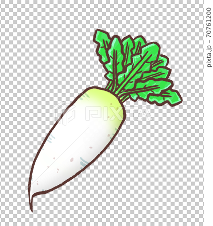 R:もっとメルヘンな野菜 大根 70761200