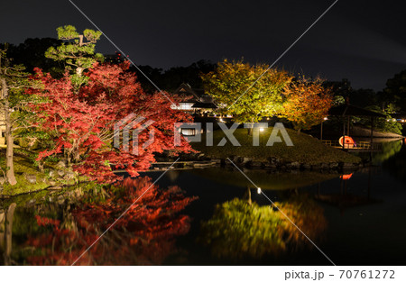 Night scenery of Korakuen garden in Okayama, Japan 70761272