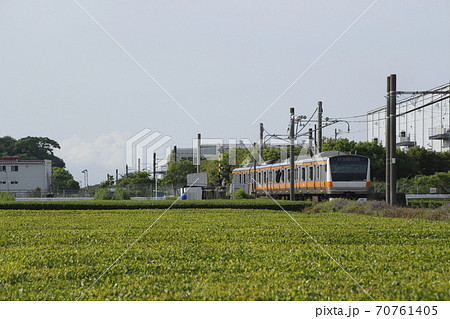 茶畑を行く八高線（中央線直通列車） 70761405