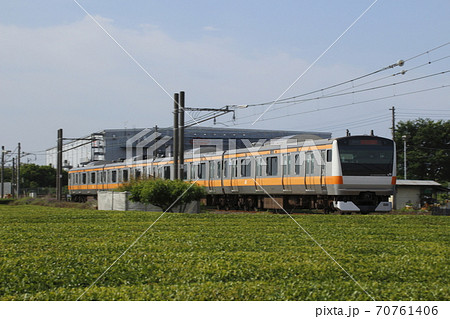 茶畑を行く八高線(中央線直通列車) 茶畑を行く八高線(中央線直通列車) 70761406