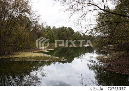 The shore of the lake in the autumn forest. Autumn 70763537