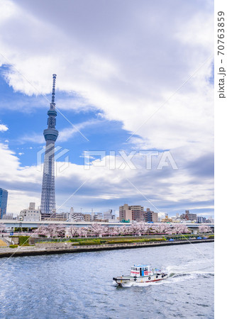 東京都 春の隅田川とスカイツリーと船の写真素材