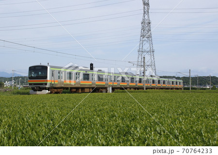 茶畑を行く八高線E231系電車 70764233