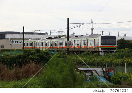 茶畑を行く八高線209系電車 70764234
