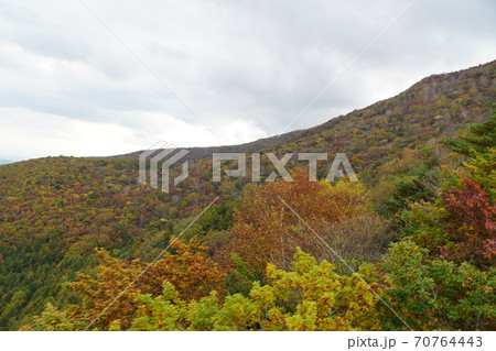 福島県　秋の安達太良山、薬師岳展望台付近の紅葉の風景 70764443