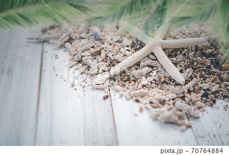 White wooden planks with star fish and sea shell  on background and  palm leaves on foreground,summer concepts. 70764884