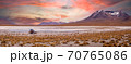 Spectacular sunset over Altiplano, Bolivia 70765086