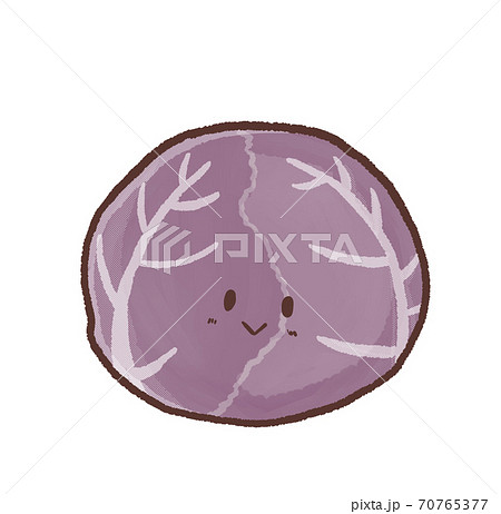 R もっとメルヘンな野菜 紫キャベツaのイラスト素材