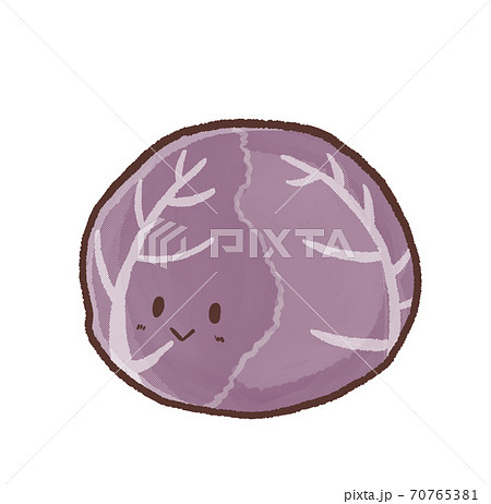 R もっとメルヘンな野菜 紫キャベツbのイラスト素材