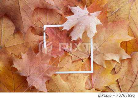 Creative layout made of autumn colorful leaves and white paper frame. Flat lay. 70765650