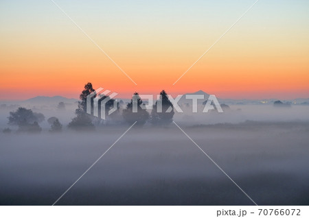 夜明け前の朝霧に包まれる渡良瀬遊水地 70766072