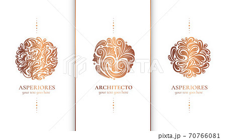Vector set of rose gold emblem with leaves. 70766081