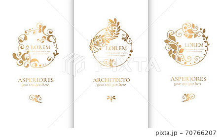 Golden set of linear frames with leaves. 70766207