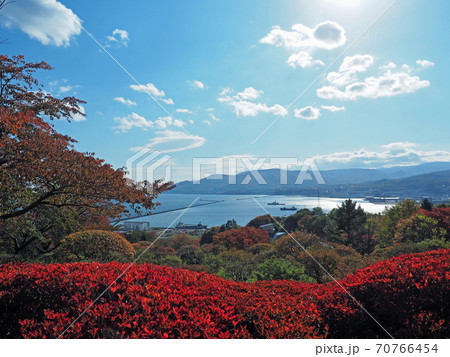 小樽 海の見える手宮緑化植物園 小樽 海の見える手宮緑化植物園 70766454
