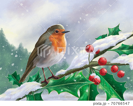 European robin perched on a branch in a snowy landscape 70766547