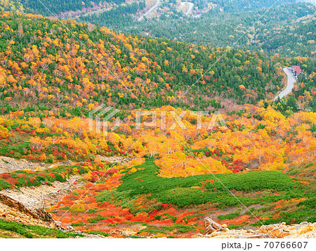 乗鞍高原・位ヶ原の紅葉 70766607