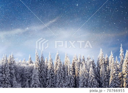 magical winter snow covered tree. Winter landscape. The winter lake is frozen on the front magical winter snow covered tree. Winter landscape. The winter lake is frozen on the front 70766955
