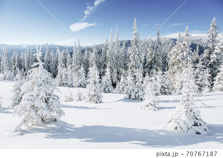 Fantastic winter landscape. Magic sunset in the mountains a frosty day. On the eve of the holiday. The dramatic scene. Carpathian, Ukraine, Europe. Happy New Year Fantastic winter landscape. Magic sunset in the mountains a frosty day. On the eve of the holiday. The dramatic scene. Carpathian, Ukraine, Europe. Happy New Year 70767187