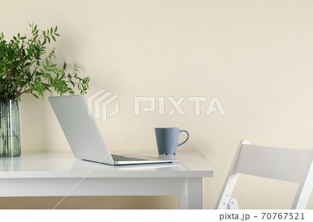 Laptop, vase with plant and coffee on white table 70767521