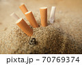 Isolated used cigarette butts discarded on sandy sea beach,ecosystem habitat pollution 70769374