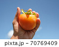 Farmer hand hold a tasty orange parsimmon fruit over bright blue sky background 70769409