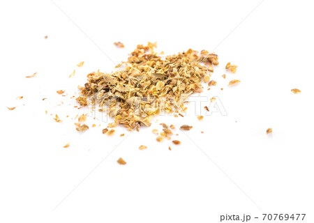 Oregano isolated on white blackground Oregano isolated on white blackground 70769477