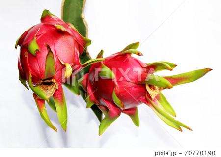 Dragon fruit 70770190