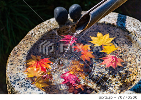 日本の秋 日本庭園のつくばいと紅葉 日本の秋 日本庭園のつくばいと紅葉 70770500