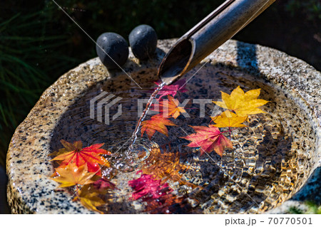 日本の秋　日本庭園のつくばいと紅葉 70770501
